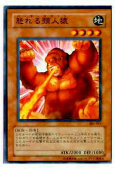 【プレイ用】遊戯王 306-013 怒れる類人猿(日本語版 ノーマル)【中古】