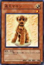 【プレイ用】遊戯王 EE1-JP224 迷犬マロン(日本語版 ノーマル)【中古】