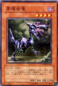 ڥץ쥤ѡͷ PTDN-JP023 ˴ε(ܸ Ρޥ)š