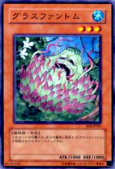 REALiZE ȥ쥫ۥӡŷԾŹ㤨֡ڥץ쥤ѡͷ SOI-JP031 饹եȥ(ܸ ΡޥšۡפβǤʤ30ߤˤʤޤ