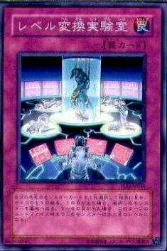 REALiZE ȥ쥫ۥӡŷԾŹ㤨֡ڥץ쥤ѡͷ TLM-JP054 ٥Ѵ¸(ܸ ΡޥšۡפβǤʤ30ߤˤʤޤ