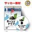 【16日1:59まで全品P10倍！LINE登録で最大1000円OFF】サッカー 教材 DVD ターンからのドリブル～ターン..