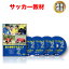 【12/1限定!抽選で最大100%ポイントバック※要エントリー】サッカー 教材 DVD 重心移動アナライズ2~上手くいかない事をできるようになるための身体動作を習得する方法~ 16,980円