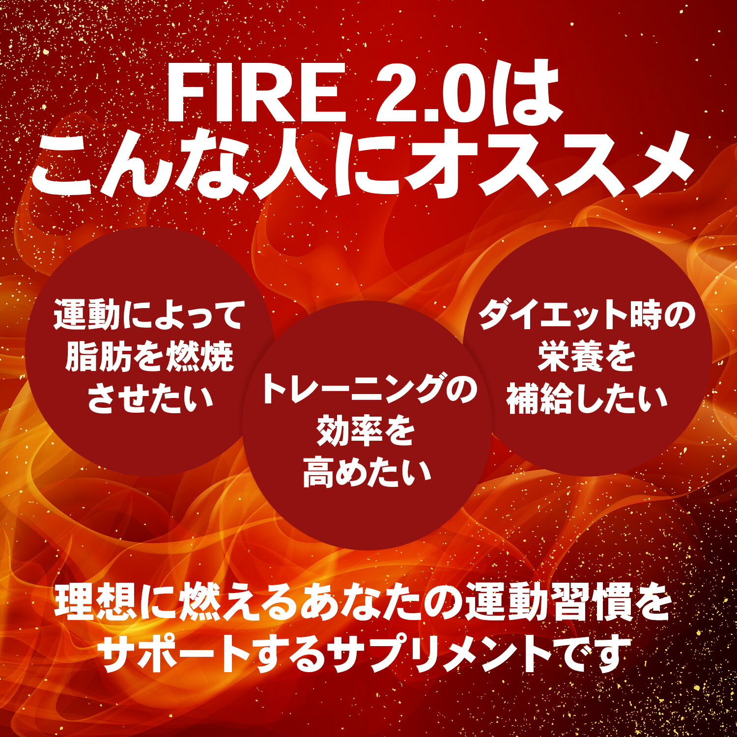 【16日1:59まで全品P10倍！LINE登録で最大1000円OFF】ビーレジェンドファイヤー2.0【2本セット】FIRE 2.0 Lカルニチン 緑茶抽出物 αリポ酸 カテキン 生姜エキス 烏龍茶エキス ナイアシン ビタミンB1 B2 B6 B12 カフェイン 3