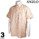 Z[ 30%OFF ANGELO AWF  JWAVc Y t  {^_E S 11-2113-04