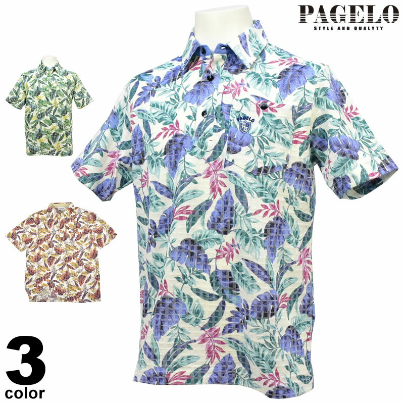 Z[ 60%OFF PAGELO pWF t JWAVc |Pbg  ShJ {^jJ 81-2804-07