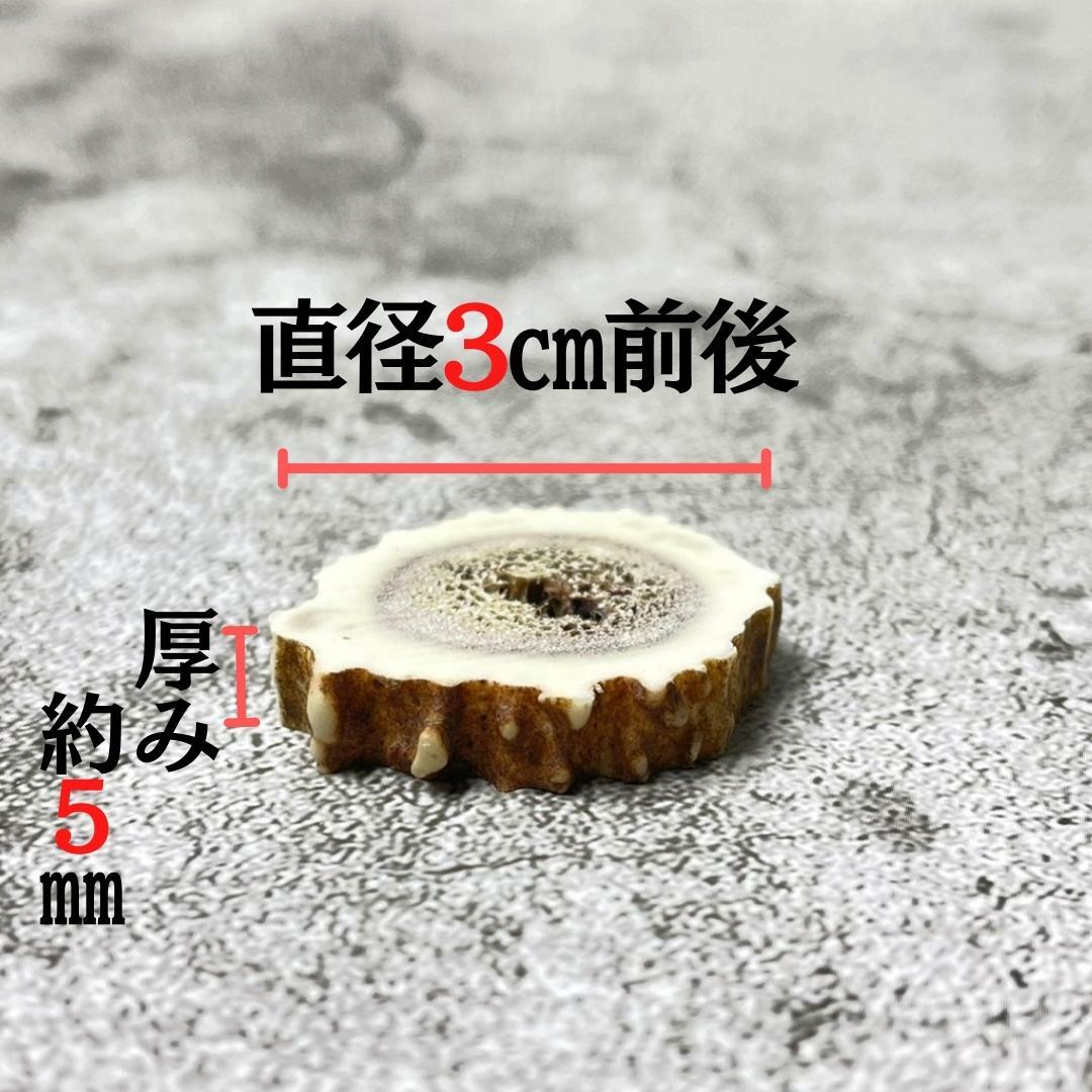 鹿の角 輪切り 10個 3cm×5mm 詰め合わせセット アクセサリー用 詰め合わせ 鹿角 アクセサリー 物作り DIY ハンドメイド 趣味 エゾ鹿 エゾシカ diy 資材 材料 セット販売 セット売り ハンドクラフト 鹿角ボタン 輪切り クラフト 雑貨の商品画像 2