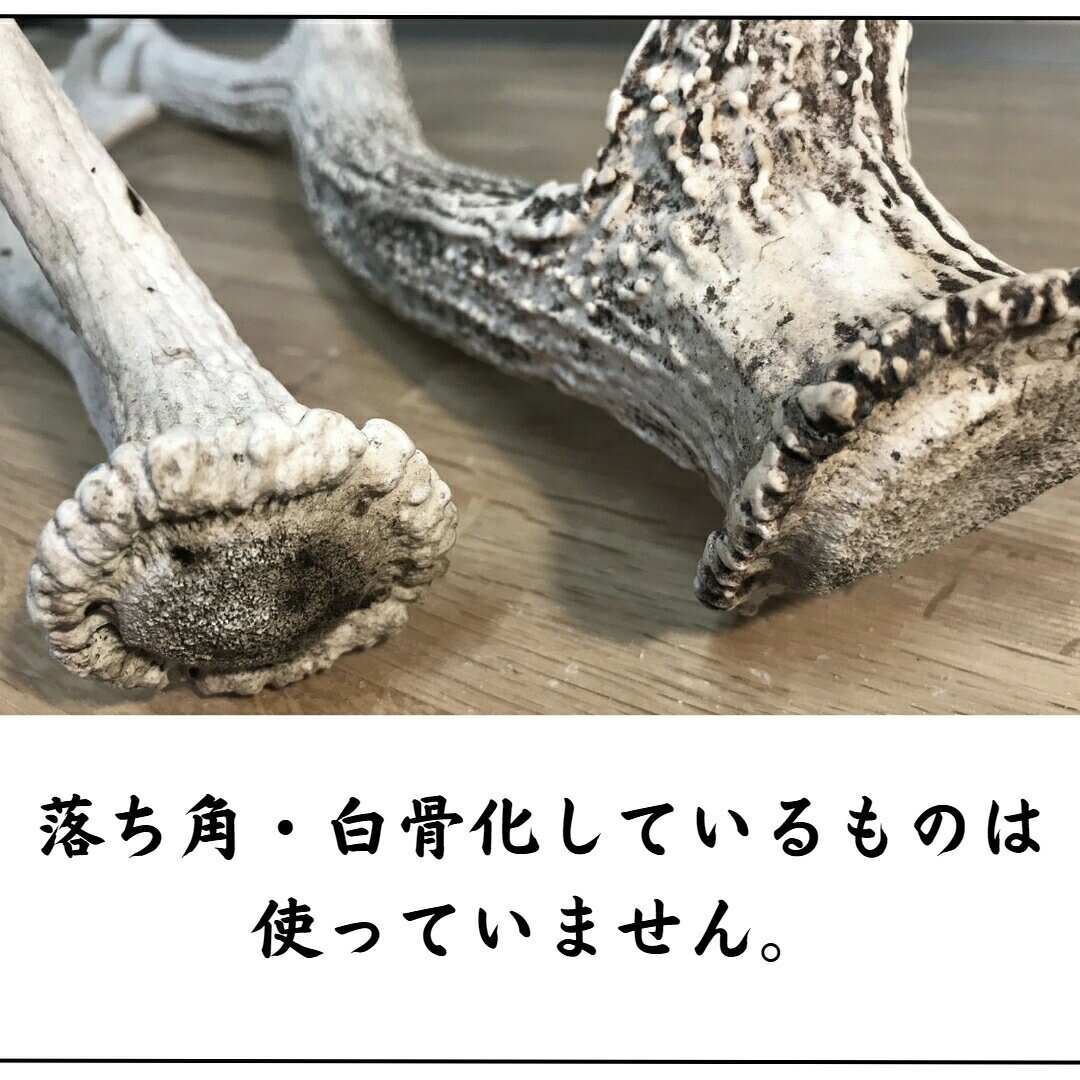 【MAX50％OFFクーポン】鹿の角 5cm前後を100g分セット アクセサリー用 パーツ 詰め合わせ 鹿角 鹿の角 アクセサリー 物作り DIY ハンドメイド 枝角 エゾ鹿 エゾシカ 資材 材料 セット販売 セット売り ハンドクラフト 鹿角ボタンの商品画像 3