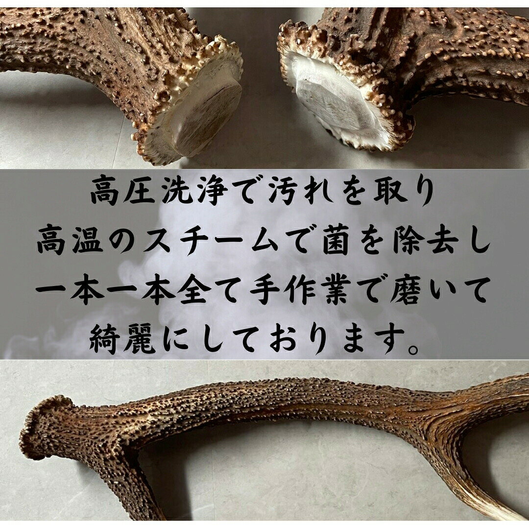 鹿の角 輪切り 10個 3cm×5mm 詰め合わせセット アクセサリー用 詰め合わせ 鹿角 アクセサリー 物作り DIY ハンドメイド 趣味 エゾ鹿 エゾシカ diy 資材 材料 セット販売 セット売り ハンドクラフト 鹿角ボタン 輪切り クラフト 雑貨の商品画像 3
