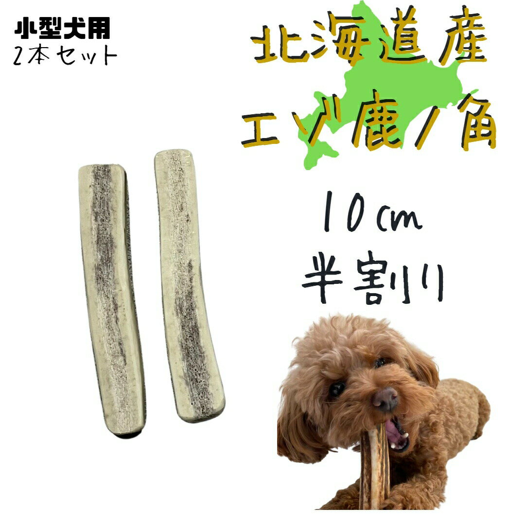 【6/6~6/9限定スーパーSALE15%OFF】鹿角 10センチ 半割り 2本 犬のおやつ 北海道産 蝦夷鹿 鹿角 鹿の角 髄 髄液 犬 デンタルケア 無添加 半割 おやつ 長持ち 犬用品 犬用 ペットグッズ ペット いぬ 歯みがき 小型犬 中型犬 大型犬 ペット用品 ガム 犬のガム 骨 ボーンのサムネイル