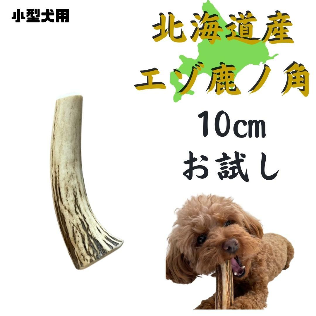 鹿角 お試し便　1本 北海道 犬のおやつ 蝦夷鹿 鹿角 鹿の角 犬 長持ち 犬用品 犬用 おもちゃ ペットグッズ ペット デンタルケア いぬ ドッグ 歯みがき はみがき 小型犬 中型犬 大型犬 ペット用品 ガム 犬のガム お試しのサムネイル