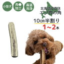 【5/8まで10％OFFクーポン】鹿角 犬 