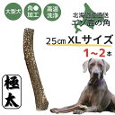 鹿角 XLサイズ