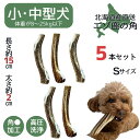 鹿角 Sサイズ 5本 北海道 犬のおやつ 蝦夷鹿 鹿角 鹿の角 犬 デンタルケア 無添加 犬用品 犬用 おもちゃ ペットグッズ いぬ ドッグ 歯みがき はみがき 小型犬 中型犬 ペット用品 ガム 犬のガム 噛む 玩具 まとめ買い セット 多頭飼い