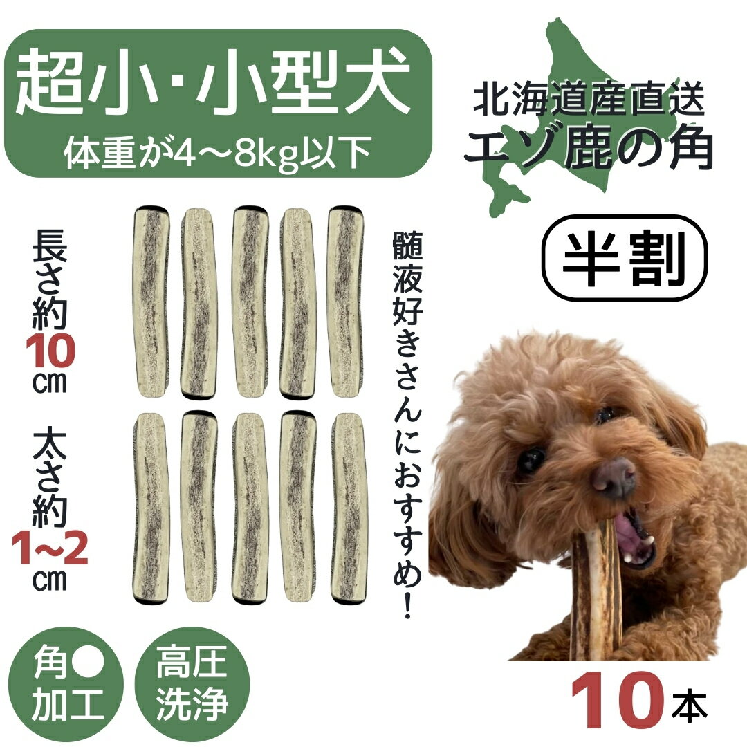 【15・16日限定3点同時購入で半額】鹿角 半割り 10センチ 10本 北海道 半割 犬のおやつ 蝦夷鹿 鹿角 鹿の角 髄液 犬 長持ち 犬用品 犬用 おもちゃ ペットグッズ ペット デンタルケア いぬ ドッグ 歯みがき 小型犬 中型犬 ペット用品 ガム 犬のガム 半割れ 噛む 玩具 超小型犬