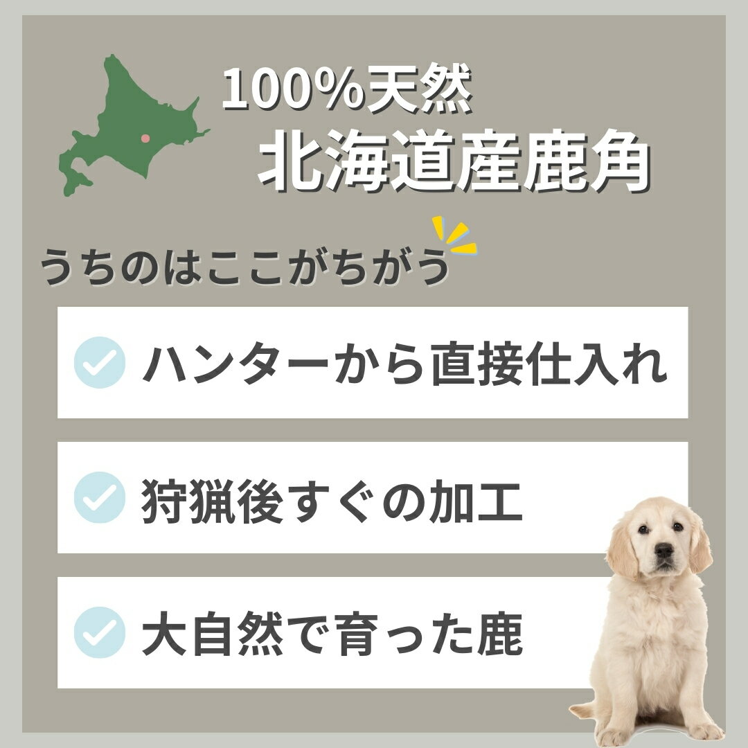 【今期狩猟品】鹿の角 15センチ 半割り 北海道産 道産 犬のおもちゃ 蝦夷鹿 鹿角 髄 髄液 犬 デンタルケア 無添加 半割 おやつ 長持ち 犬用品 犬用 おもちゃ ペットグッズ ペット いぬ 歯みがき 小型犬 中型犬 大型犬 ペット用品 ガム 犬おもちゃ - Image 3