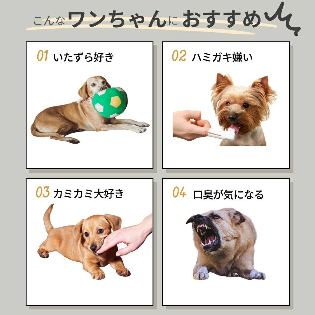 【今期狩猟品】鹿の角 15センチ 半割り 北海道産 道産 犬のおもちゃ 蝦夷鹿 鹿角 髄 髄液 犬 デンタルケア 無添加 半割 おやつ 長持ち 犬用品 犬用 おもちゃ ペットグッズ ペット いぬ 歯みがき 小型犬 中型犬 大型犬 ペット用品 ガム 犬おもちゃ - Image 2