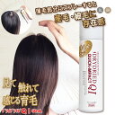 育毛剤【医薬部外品】『ドライドライド クイックインパクト 50mL』 女性用 男性用 育毛 抜け毛予防 薄毛 スプレー 生え際 AGA 円形脱毛症