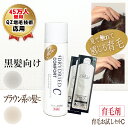 スプレー式育毛剤『育毛お試しセットC』(ドライドライド コンフォート50 mL+専用シャンプー4.5mL×2)