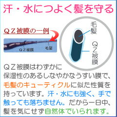 超耐水増毛スプレー 増毛剤『QZジェントリー(180ml)3本セット』■細毛・薄毛対策に！まるで植毛のように自毛が増やせる！累計販売45万人突破の大人気増毛スプレー【薄毛隠し 薄毛対策 薄毛かくし 円形脱毛症隠し 増毛ふりかけ 生え際 AGA】 3