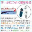 超耐水増毛スプレー 「QZジェントリー(120ml)」円形脱毛症 つむじ 分け目 生え際 薄毛隠し 増毛ふりかけやペン、ウィッグとは異なる新しい増毛方法 白髪隠し メンズ レディース ユニセックス 3