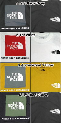 THENORTHFACE/ザ・ノースフェイス/Tシャツ/メンズ/半袖/ティーシャツ/ロゴ