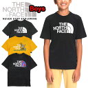 ノースフェイス キッズ tシャツ 半袖 THE NORTH FACE BOYS GRAPHIC TEE 男の子 ブランド セール 2022春夏 120 130 140 150 160 170cm