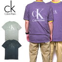 カルバン・クライン Tシャツ メンズ カルバンクライン Tシャツ 半袖 メンズ ジーンズ ブランド Calvin Klein Small Monogram Chest 40GM883 春