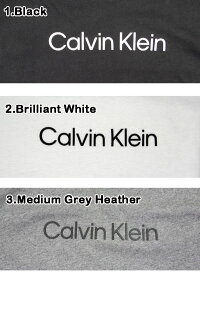 カルバンクライン/ジーンズ/Tシャツ/メンズ/Calvin/Klei/Jeans