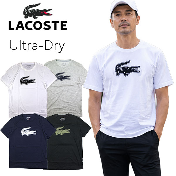 楽天市場】ラコステ tシャツ テニスの通販