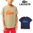 ラコステ tシャツ キッズ 速乾 スポーツ TJ2910 LACOSTE BOYS SPORT Tennis Technical Jersey Tee 子供 ボーイズ 2023春夏 新作