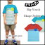 VOLCOM ボルコム キッズ Tシャツ ジュニア YOUTH SKAPE STRIPE TEE ティーシャツ 半袖