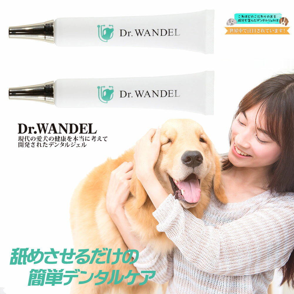 【公式】Dr.wandel ドクターワンデル 30g(1ヶ月分) 【2個セット】リボーテ(re:beaute)公式ストア デンタルケアケアジ…