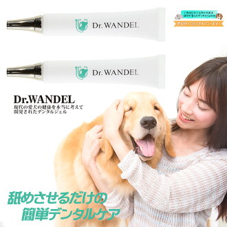 愛犬の歯周病予防愛犬用デンタルケアジェルDr.wandelドクターワンデル30g(1ヶ月分)