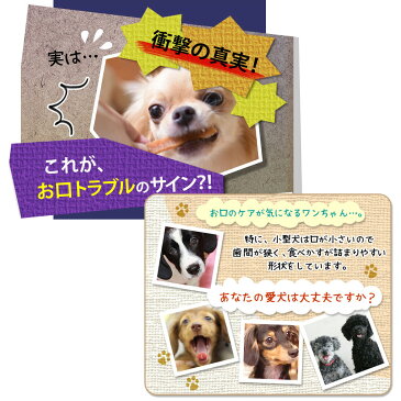 愛犬の歯周病予防 犬用デンタルケア ジェル Dr.wandel ドクターワンデル 30g(1ヶ月分) リボーテ(re:beaute)公式ストア 歯周病対策 犬 口臭 ペット 口臭ケア ペット 歯磨き