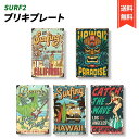 ブリキ 看板 サーフ ビーチ 壁飾り アメリカン プレート インテリア レトロ 雑貨 ヴィンテージ風 アンティーク (SURF2)