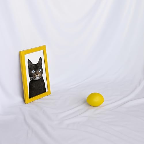 背景布 2m×3m 大型 無地 バックスクリーン 撮影用 写真撮影 布 スタジオ 装飾 折り畳み 多用途 洗濯可..