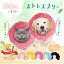 【楽天1位獲得】エリザベスカラー 