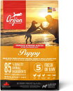 【正規品】カナダ産 オリジン パピー 2kg Orijen dogfood puppy