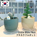 2DEN Blanc Noir プチカラフルポット 7カラー ブランノワール プランター ストーン 韓国 おしゃれ 多肉植物鉢 観葉植物 植木鉢 鉢 幼苗鉢 鉢 底穴あり