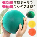 \ワンダフルデー限定!P5倍!/ネット付き 室内用 ボール 21cm 5号 静音ボール サイレントボール 柔らかい 子供 室内 室内遊び 安全 静音 バスケ サ...