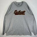 古着 カーハート Carhartt 長袖Tシャツ センター プリント ロゴ 大きいサイズ 肉厚 クルーネック 3XL グレー メンズ 【中古】