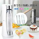 炭酸水メーカー 炭酸水/ソーダ/飲料作り 電源不要 炭酸水マシン 炭酸水製造機 保存時間長い 操作簡単 お手入れも簡単 健康 美容 料理 手作り 自家製 商用 自宅用 家庭用 2点専用1000mlボトル付き|詳細画像