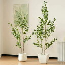 フェイクグリーン 観葉植物 フェイク 造花 人工観葉植物 大型 光触媒 ホテル インテリア リアル おしゃれ お祝い 樹 木 室内 人気 オフィス 部屋 シンプ...