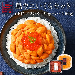 うに いくら 北海道 礼文・利尻島産 生エゾバフンウニ 90g 小粒タイプ＋昆布だしイクラ 50g セット【送料無料】海鮮丼 お取り寄せグルメ 雲丹 塩水 生うに 高級 海鮮 海産物 海鮮丼 食品 食べもの 無添加 ギフト グルメ 贈答品 贈り物