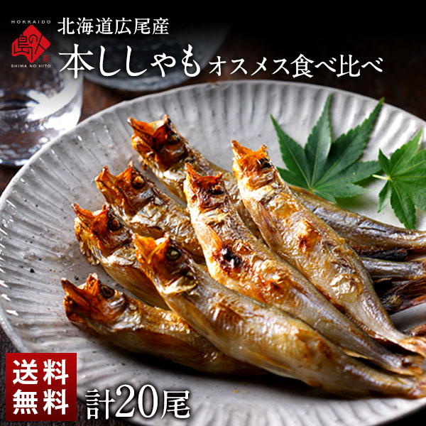 【計20尾】北海道 広尾産 本ししゃも 夫婦セット オス メス食べ比べ (各10尾)【送料無料】北海道で水揚..