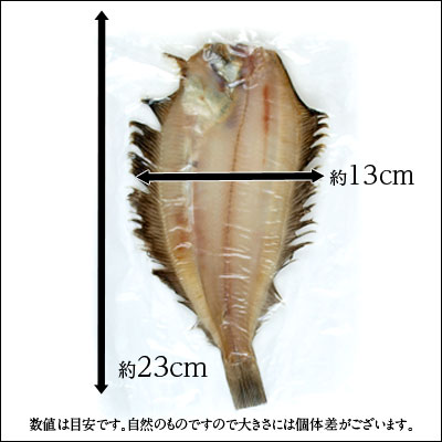 北海道 礼文島産 滑多鰈 なめたかれい 0 250g 旨さの秘密は自慢の 利尻昆布 北海道 礼文島産 滑多鰈 なめたかれい 0 250g 旨さの秘密は自慢の 利尻昆布