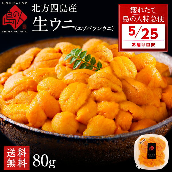 【5月25日お届け】うに 北方四島産 天然生エゾバフンウニ 80g【送料無料】北海道 生うに 塩水 パック 雲丹 バフンウニ 海鮮 海産物 食べ物 食品 お取り寄せグルメ ミョウバン不使用 ギフト