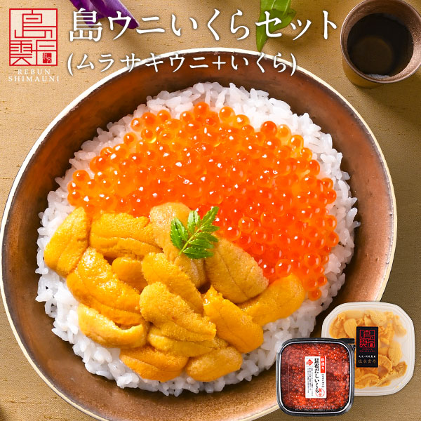 【今が最旬】礼文・利尻島産 生キタムラサキウニ 90g＋昆布だしいくら 50g セット【送料無料】うに いくら 北海道 雲丹 無添加 塩水パック ギフト グルメ 食品 食べ物 贈り物 塩水うに 生うに