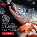 \レビュー評価4.9超/北海道 礼文島産 生 秋鮭 オス 2.5〜3.0kg前後 (姿)【送料無料】獲れたて秋鮭を一本丸々お届けお取り寄せグルメ さけ シャケ ...